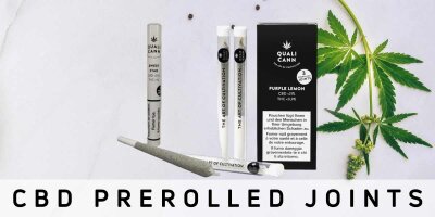 CBD Pre-Rolled Joints