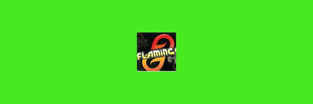 Hersteller: Flaminco e-jic