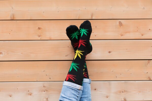 Sativa, Indica, Ruderalis und Hybrid: Was bedeuten diese Begriffe? - Sativa, Indica, Ruderalis &amp; Hybrid erklärt | Vape.ch