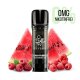 ELFBAR - ELFA Pro Pods Raspberry Watermelon 0mg/ml