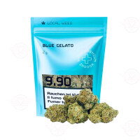 Local Weed - Blue Gelato Blüte