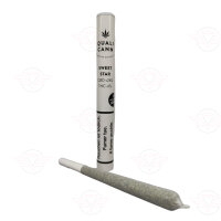 QUALICANN - CBD Prerolled Joints