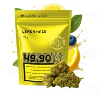 Local Weed - Lemon Haze Blüte