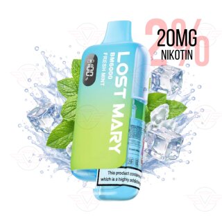 Lost Mary BM6000 Hybrid E-Zigaretten Kit Fresh Mint