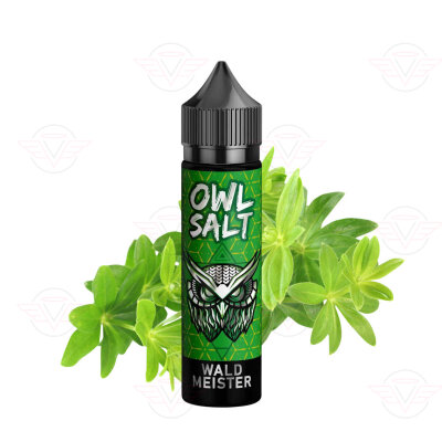 OWL Salt - Longfill Waldmeister 10ml in 60ml Flasche