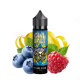 OWL Salt - Sour Blue Longfill 10 ml in flacone da 60 ml