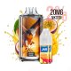 JNR - Kit de démarrage Falcon Nexus 55K - Mango...