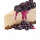 happy liquid - Blueberry Cheesecake 10ml