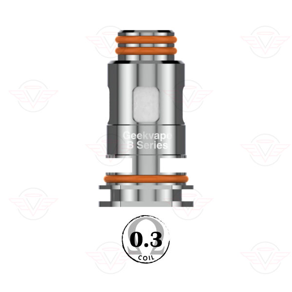 Geek Vape - B 0.3 Ohm Coils