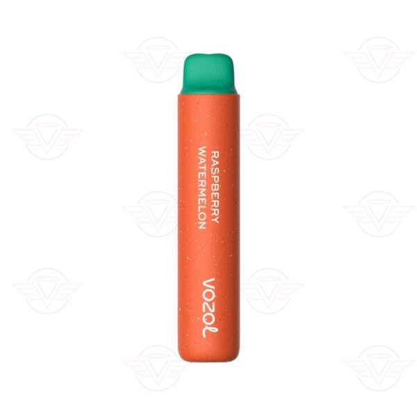 Vozol Star 2000 - Raspberry Watermelon 0mg